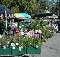 Meadows Monthly Market - Whitsundays Accommodation