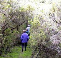 Jack And Hilda McArthur Walk - Whitsundays Accommodation