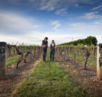 Coonawarra Wineries Walking Trail - Whitsundays Accommodation