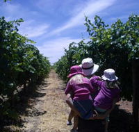 McLaren Vale Orchards