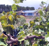 Zimmermann Wine - Whitsundays Accommodation