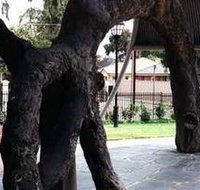 Old Gum Tree - Whitsundays Accommodation