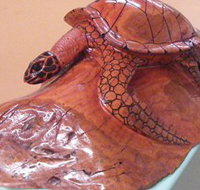 Ants Redgum Gallery - Whitsundays Accommodation