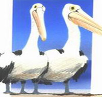 Bay of Shoals Wines - Whitsundays Accommodation