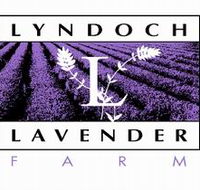 Lyndoch Lavender Farm and Cafe - Whitsundays Accommodation