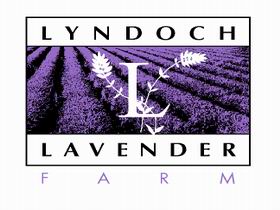 Lyndoch Lavender Farm And Cafe - Whitsundays Accommodation 0