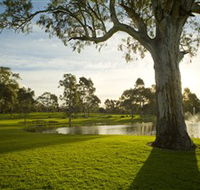 Serafino Wines - Whitsundays Accommodation