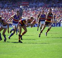 AAMI Stadium Tours - Whitsundays Accommodation