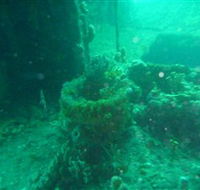 Wallaroo Scuba Club - Whitsundays Accommodation
