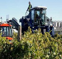 Ballast Stone Estate Wines Pty Ltd - Whitsundays Accommodation