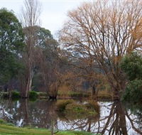 Gemtree Wetlands Ecotrail - Whitsundays Accommodation