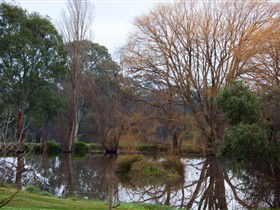 Gemtree Wetlands Ecotrail - Whitsundays Accommodation 0