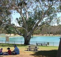 Naracoorte Nature Park and Swimming Lake - Whitsundays Accommodation