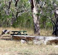 Penola Conservation Park - Whitsundays Accommodation