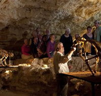 Naracoorte Caves National Park - Whitsundays Accommodation