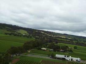Kangarilla Road Vineyard And Winery - Whitsundays Accommodation 0