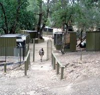 Humbug Scrub Wildlife Sanctuary - Whitsundays Accommodation