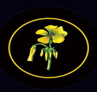 Battle of Bosworth Wines - Whitsundays Accommodation