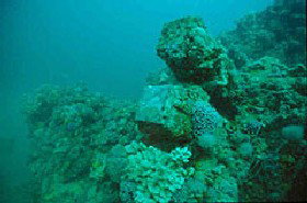 Adelaide's Underwater Heritage Trail - Whitsundays Accommodation 0