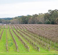 Dennis Wines