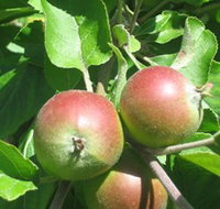 Sage Cooking School - Whitsundays Accommodation