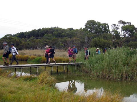 Lavender Federation Trail - Whitsundays Accommodation 1