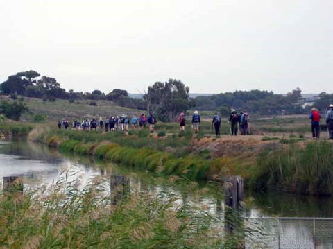 Lavender Federation Trail - Whitsundays Accommodation 2