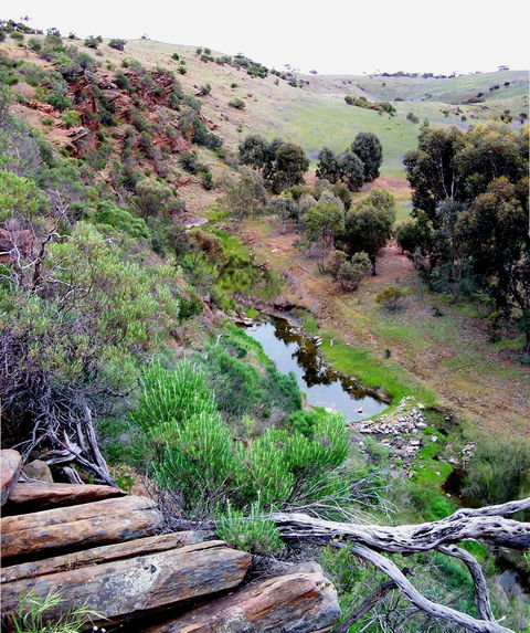 Lavender Federation Trail - Whitsundays Accommodation 3