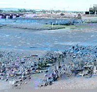 Jervois Basin Ships' Graveyard - Whitsundays Accommodation