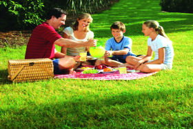 Whitsundays Accommodation