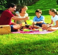 Bruny Island Berry Farm - Whitsundays Accommodation