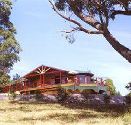 Barringwood Park Vineyard - Whitsundays Accommodation