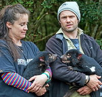 devilscradle - Whitsundays Accommodation