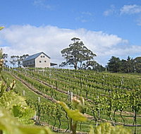 Bruny Island Premium Wines Bar and Grill - Whitsundays Accommodation