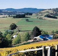 Freycinet Vineyards Pty Ltd - Whitsundays Accommodation