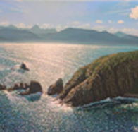 Colville Street Art Gallery - Whitsundays Accommodation