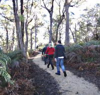 Bridport Walking Track - Whitsundays Accommodation