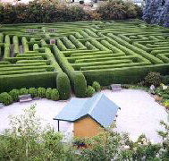 Westbury Maze and Tea Room - Whitsundays Accommodation