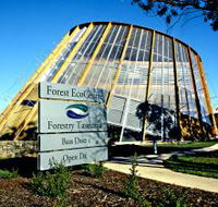 Forest EcoCentre - Whitsundays Accommodation