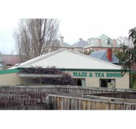 Richmond Maze and Tea Rooms - Whitsundays Accommodation