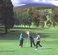 Deloraine Golf Course - Whitsundays Accommodation