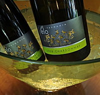 Velo Wines - Whitsundays Accommodation