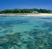 Green Island Fringing Reefs - Whitsundays Accommodation