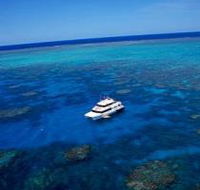 Norman Reef Dive Site - Whitsundays Accommodation