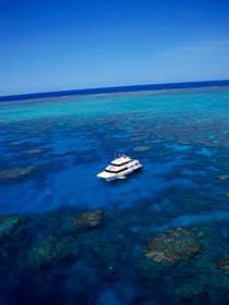 Norman Reef Dive Site - Whitsundays Accommodation 0