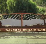 Tasmanian Bushland Garden - Whitsundays Accommodation
