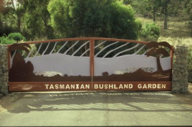 Tasmanian Bushland Garden - Whitsundays Accommodation 0