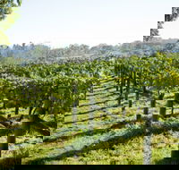 Surveyor's Hill Vineyards - Whitsundays Accommodation