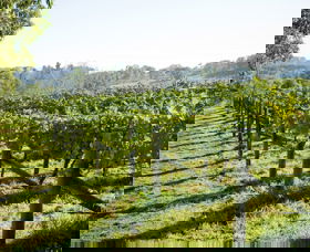 Surveyor's Hill Vineyards - Whitsundays Accommodation 0