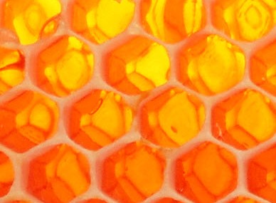 Judbury TAS Whitsundays Accommodation